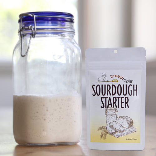 dry sourdough starter in a package next to a glass jar